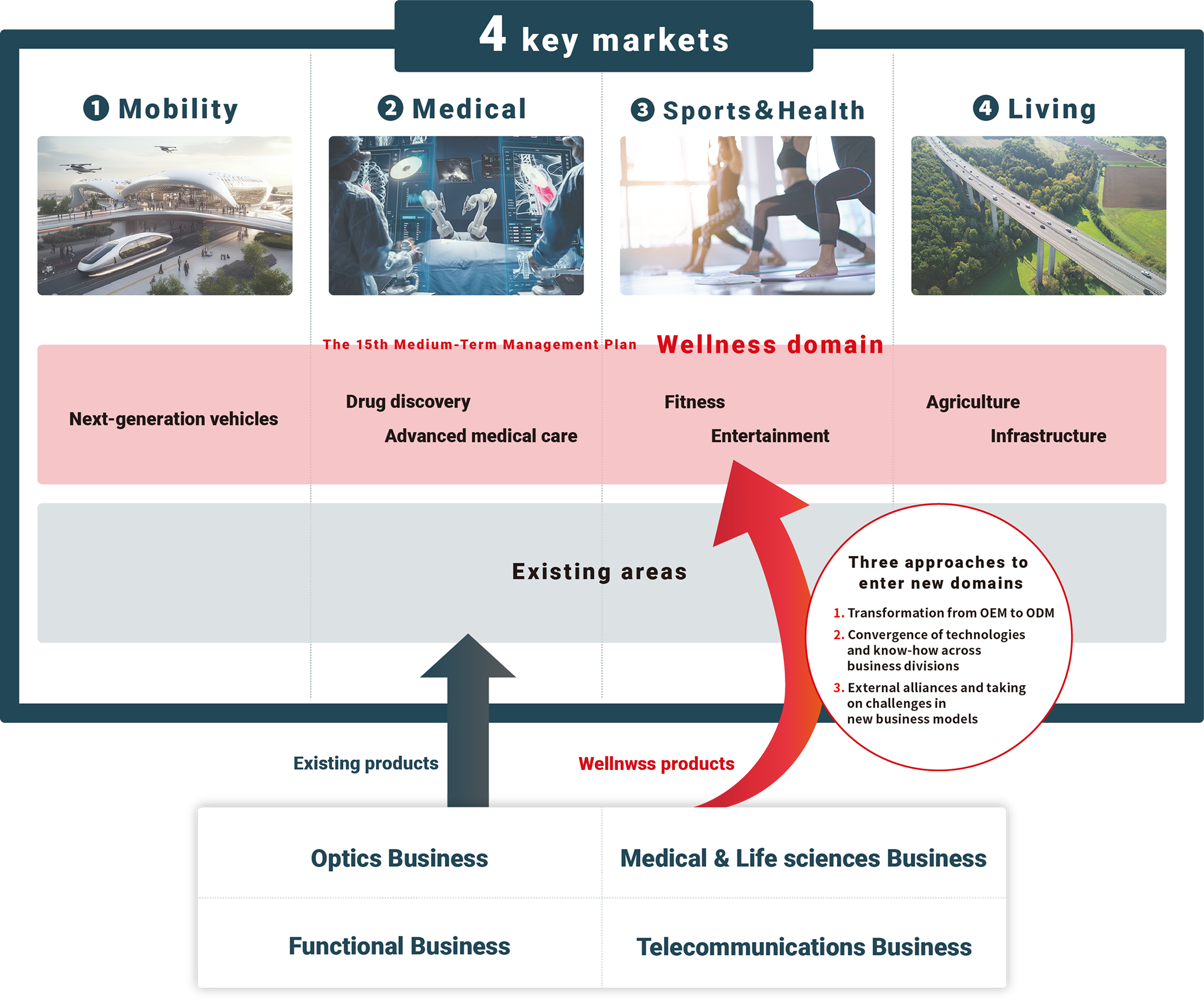 Relationship between the Wellness Domain in the four core markets and the four businesses