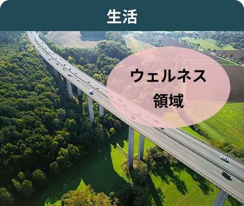 生活 ウェルネス領域