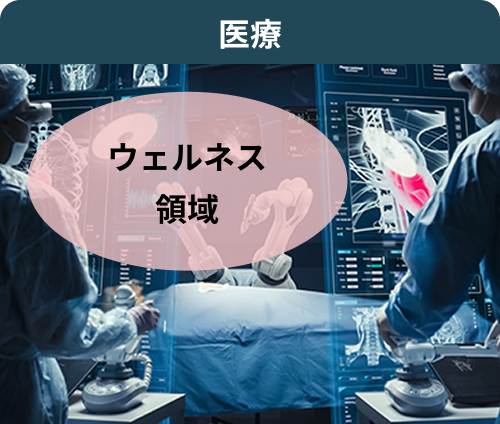 医療 ウェルネス領域
