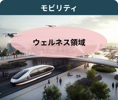 モビリティ ウェルネス領域