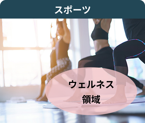 スポーツ ウェルネス領域